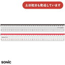 ソニック ナノピタ 直線定規 30cm リバーシブル文房具 文具 学童文具 学習 ずれない 小学校 小学生
