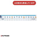 クツワ STAD 算数定規 15cm文房具 文具 学童文具 算数 数学 直定規 定規 丈夫 小学生 小学校