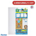 レイメイ 先生おすすめ 魔法のザラザラ下じき B5 0.6mmドット文房具 文具 入学準備 学習 勉強 Raymay 低学年 小学生 無地