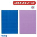 レイメイ 先生おすすめ 魔法のザラザラ下じき B5 0.3mmドット文房具 文具 小学生 入学準備 学習 勉強 Raymay ブルー バイオレット 中学生