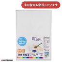 クツワ 硬筆書写用ソフト下敷 A4判文房具 文具 丈夫 軟質 下敷き ペン習字 したじき 小学生