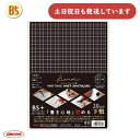 共栄プラスチック ライティングマット下敷 B5+ 文房具 文具 シンプル 書き心地 方眼 無地 リバーシブル 下敷き kiwami orions したじき