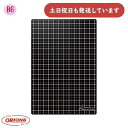 共栄プラスチック ライティングマット下敷 B6 文房具 文具 シンプル 書き心地 方眼 無地 リバーシブル 下敷き kiwami orions したじき(3)