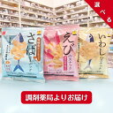 素材市場 【 いわし ／ さば ／ えび スナック から 4点 選べる 】 おやつカンパニー 魚介のチカラ × 素材の旨味 栄養素 カルシウム 摂取 ヘルシー 甘辛醬油味 さばの味噌煮味 まろやか塩味 栄養機能食品 健康志向