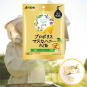 浅田飴 プロポリスマヌカハニーのど飴 レモンジンジャー味 60g のど飴 キャンディ プロポリス マヌカハニー 浅田飴のど飴 プロポリスのど飴 乾燥 乾燥対策 かぜ かぜ対策 風邪 風邪対策 インフルエンザ インフルエンザ予防