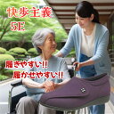 アサヒシューズ 快歩主義 L011-5E パープルラメ/24.5 レディース アサヒシューズ快歩主義 L011 5E マジックテープ リハビリシューズ 介護 室内屋内兼用 婦人用 脱ぎ履きが楽 軽い 幅広 甲高 両足 洗える 超軽量 外反母趾 ギフト プレゼント パープルラメ