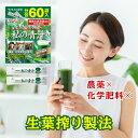 私の青汁 60袋入り ヤクルトヘルスフーズ 国産 大麦若葉 農薬不使用 化学肥料不使用 青汁 無農薬