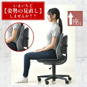 クッション 腰 姿勢を正す サポートクッション 46×38cm 快適支座 整体院先生監修 姿勢見直し 腰フィット 負担軽減 理想な座姿勢 ウレタンフォーム ずっこけ座り 猫背座り 改善 体圧分散 まっすぐ座る