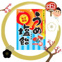 うめ塩飴 73g×2袋 ライオン菓子 塩飴 梅 うめ 熱中症 塩分補給 飴 キャンディ お菓子