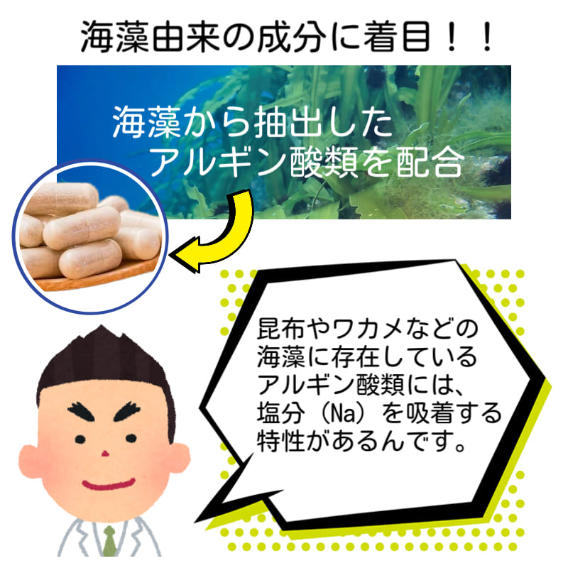 シオサポ 60カプセル トイメディカル 塩分吸着 サプリ 健康補助食品 サプリメント アルギン酸類含有食品 日本製減 塩サポート アルギン酸類 3