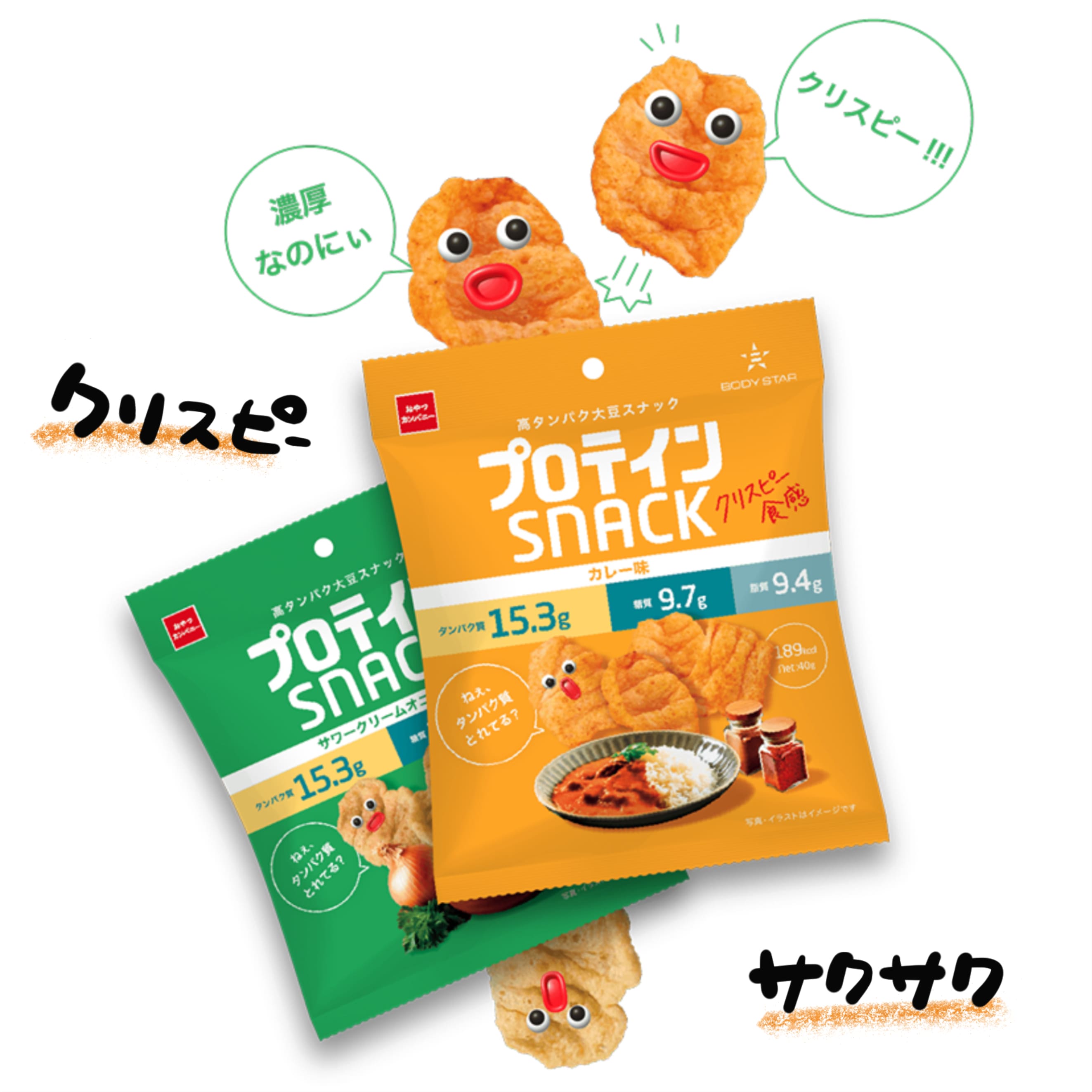 プロテインスナック おやつカンパニー カレー味 40g 12袋 クリスピー プロテイン タンパク質15g カレー 高タンパク大豆スナック クリスピー食感 サクサク食感 高タンパク 大豆 ボディースター BODY STAR body star スナック スナック菓子 菓子 お菓子 2