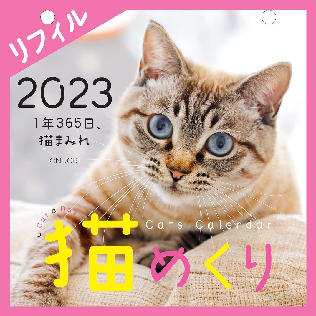 猫めくり 2023年 カレンダー リフィル 日めくり CK-C23-02 〇4573330470554d ねこ ネコ ひめくり 2023 令和5年 人気 レフィル おすすめ 女性 男性