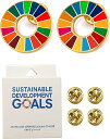 Light 【2個セット】SDGsバッジ 国連正規品 七宝焼 25mm 国連 sdgs バッチ 2030持続可能な発展に向け 最新包装改良 2個 エスディージー...