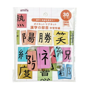 ダイカットマグネット 漢字の部首 中学年編 30P 4542804121032 勉強 楽しく 遊び 並べ替え 学習 子供 小学3年生 小学4年生 10歳 男の子 女の子 漢字の勉強 国語 かんじ