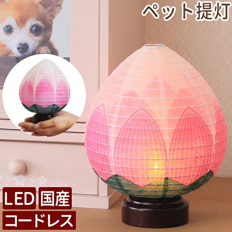 ペット お盆 選べる プチ提灯 & キャンドル セット お供え 盆提灯 お盆セット LED ライト 国産 コードレス 新盆 初盆 ミニ 小さい 犬 猫 うさぎ かわいい おしゃれ 足あと 肉球 精霊馬 黒缶 ドッグビスケット お野菜 迎え火送り火