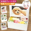 【写真プリントサービス無料】ペット お供え 花 ペット お悔やみ 花 プリザーブドフラワー お名前プレート 名入れ メッセージペット お悔やみ 花 プリザーブド...