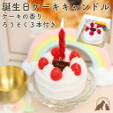 ペット 仏具 お供え 本物そっくり 誕生日 バースデーキャンドルペット 仏壇 ローソク ろうそく 可愛い お供え お悔み 安全 かわいい 供養 誕生日