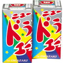 NEWドラゴンエース|噴出花火【1個売】