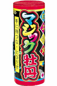 マジック牡丹 | 打上花火 花火 打ち上げ花火 打ち上げ おすすめ キャンプ 夏祭り お祭り はなび アウトドア 遊び 道具 遊具 庭 屋外 夏 お盆 御盆 花火大会の商品画像