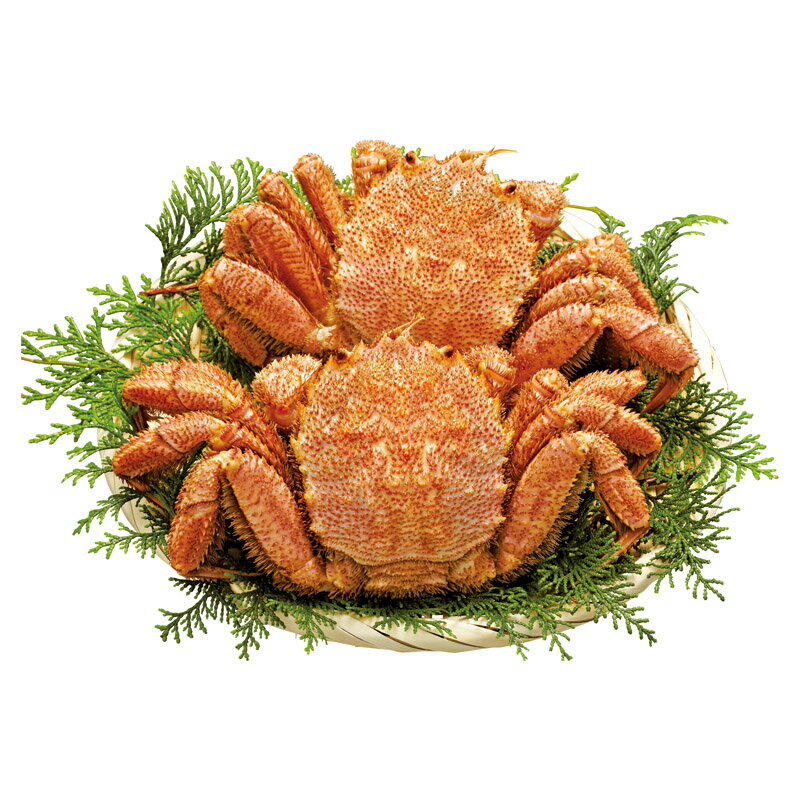 北海道産ボイル毛がに 400g×2尾【商品引換券】【即納商品】【送料無料】