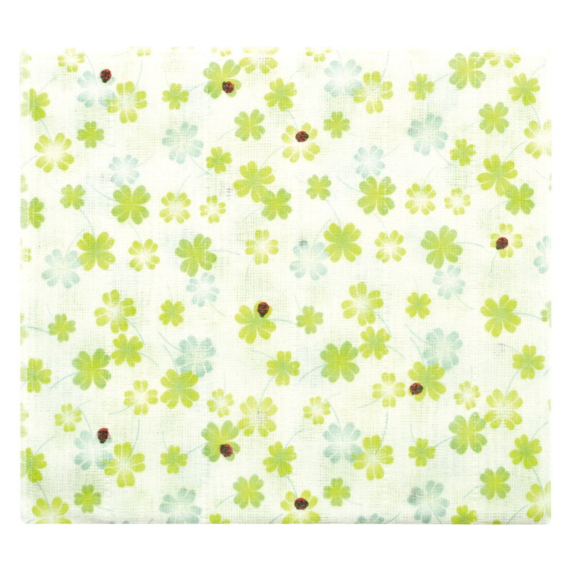 ���۲� �������Ϥդ���ʻ��դΥ������С���