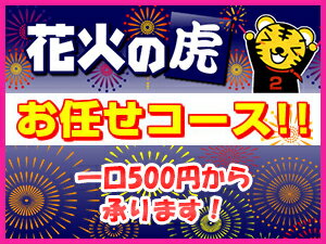 【花火セット】花火の虎 お任せコ