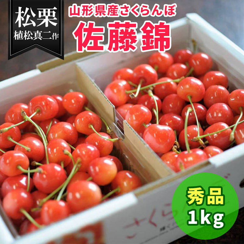 【予約受付中 6月20日〜発送予定】山形県産 さくらんぼ 佐藤錦 秀品 500g×2パック入 松栗 植松真二作 真の桜桃 1ケース 数量限定 1kg 送料無料 ギフト 贈り物 山形 サクランボ ばら詰め フルーツ ギフト お取り寄せ 御中元 お中元