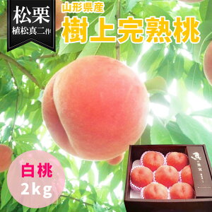 【8月中旬〜発送】 桃 山形県産 樹上完熟 白桃 2kg 6～9玉入 | 松栗 植松真二作 真の果実 1ケース 送料無料 ギフト 贈り物 お取り寄せ 高級 旬の果物 フルーツ 化粧箱入 プレゼント 桃 産地直送 もも 甘い 美味しい 贈答用 あかつき いけだ 川中島白桃 美月 伊達白桃 桃 完熟