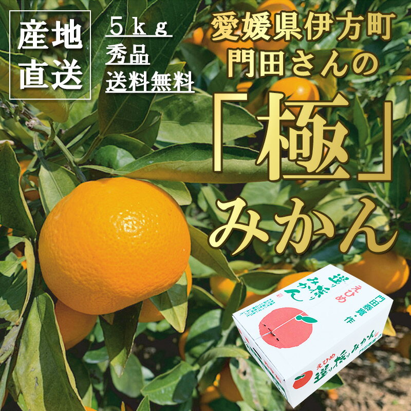 [第3弾 せとか 5kg] 愛媛県伊方町 門田さんの「極」みかん 5kg 秀品 送料無料 | 贈答用 高級 みかん 西宇和 愛媛みかん 石地 かんぺい 甘平 みかん せとか 贈答品 お歳暮 御歳暮 贈り物 ギフト プレゼント みかん 希少 品種 極甘 産地直送 温州みかん ブランド ミカン