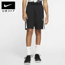 ナイキ ジュニア (ボーイズ) トレーニングショートパンツN
