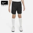 ナイキ Dri-FIT ジュニア サッカーショートパンツnike サッカー/フットボール ボトムス アクセサリー ハーフパンツ サステナブル teamsports サッカー ドライフィット キッズ dh8408-010 プレゼント アウトドア mtm バレンタイン