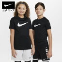 ナイキ Dri-FIT トロフィー ジュニア グラフィック ショートスリーブトップ nike SU23 ウェア トップス Tシャツ 通気性 キッズ dx5411-010 半袖 黒 白 25cpn