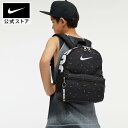 【40％OFF】ナイキ ブラジリア JDI ミニ バックパック (11L)nike バッグ＆バックパック 旅行カバン 修学旅行バッグ キッズ FA23 アウトドア アクセサリー sportsac fitness headwearac fb2822-010 ジュニア bf5040