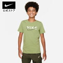 【30 OFF】ナイキ YTH PERF セレクト S/S Tシャツ FSnike ウェア トップス キッズ fn7416-325 ジュニア 半袖 部活 通学 15cpn mt30 mtm