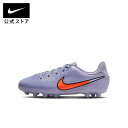 ナイキ ジュニア レジェンド 10 アカデミー HG NIKE FA25
