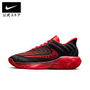 【30%OFF 5/9 20:00〜5/16 1:59】ヤニス イモータリティ 4 EP バスケットボールシューズ NIKE シューズ バスケ バッシュ スニー...