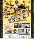 EPOCH 2018 甲子園歴史館企画展 「タイガース 2018年の足跡と歴代ショート特集」(送料無料)