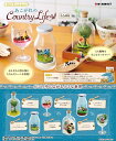 リーメント Petit Terrarium あこがれのCountry Life[6個入り]BOX 2019年10月21日発売予定