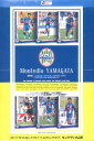 2011 Jリーグ カード チームエディション メモラビリア モンテディオ山形（送料無料）