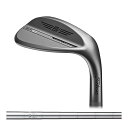 タイトリスト（Titleist） ボーケイ SM10 ウェッジ単品（ニッケル） BV105 シャフト 2024