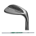ボーケイ(Vokey) ボーケイ SM10 ウェッジ単品(ニッケル) NSPRO 950GH Neo シャフト 2024