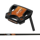 テーラーメイド(TaylorMade) Spider(スパイダー) TOUR X トゥルーパス スモールスラント ブラック パター 日本正規品 2025