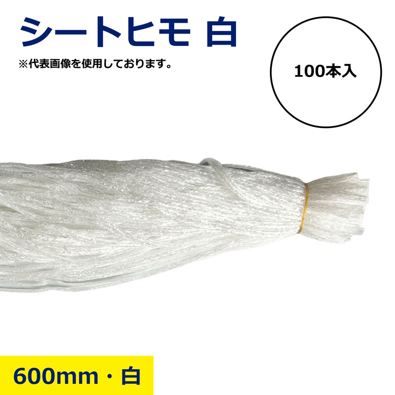 �����ȥҥ� �� 600mm 100���� ������ �֥롼������ �ϥȥ� ���� 1« 100�� ��� ���å� PP ���� ���� DIY ��ñ ��...