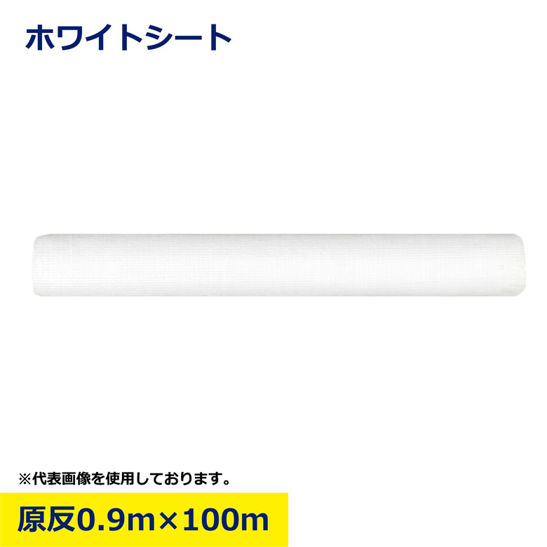 樂天商城 - ホワイトシート シート 原反 0.9 × 100m アウトドア 軽量 レジャー 養生シート 防水 作業 イベント 災害 現場 工具 台風 BBQ お花見 ピクニック DIY 雨除け 台風対策 敷物 建築 建設 シート 現場用 建築資材 作業用品 業務用 建設現場 作業現場