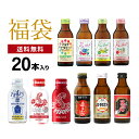 【 100ml × 20本 】 清涼飲料水 日興薬