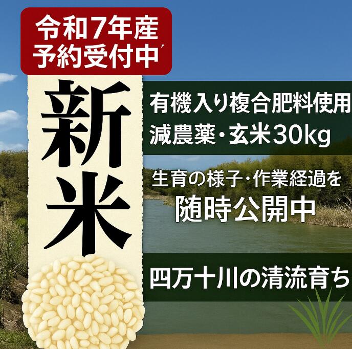 楽天市場】コシヒカリ 玄米 30kg(玄米|米・雑穀):食品の通販 楽天市場】コシヒカリ 玄米 30kg(玄米|米・雑穀):食品の通販