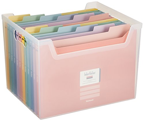 ナカバヤシ インデックス ファイルボックス 書類収納ケース F4 クリア フボI-F4C 送料 無料