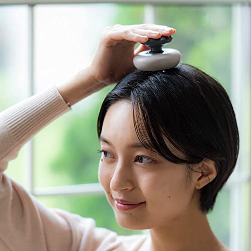 HATACHI(ハタチ) リセットローラーHEAD NH3740 送料　無料
