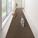 サンコー 廊下敷き マット カーペット はっ水 消臭 日本製 おくだけ吸着 ロングマット 60×300cm ブラウン KH-69 送料 無料