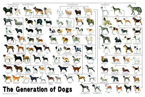 1000ピース ジグソーパズル めざせ パズルの達人 犬の系統図(50x75cm) 送料 無料